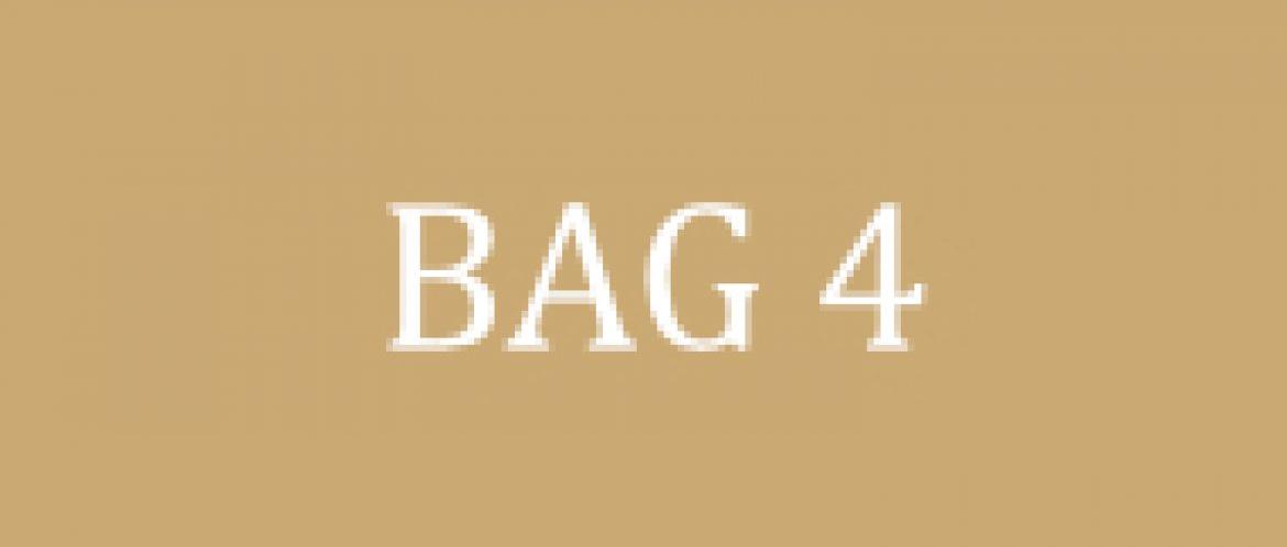 BAG 4