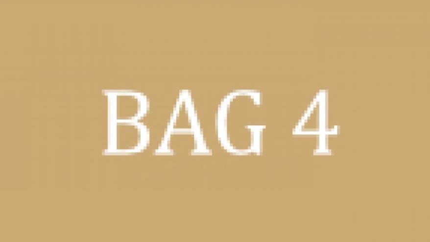 BAG 4