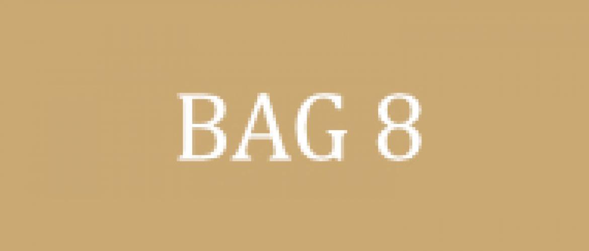 BAG 8