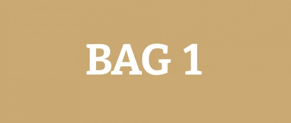 BAG 1
