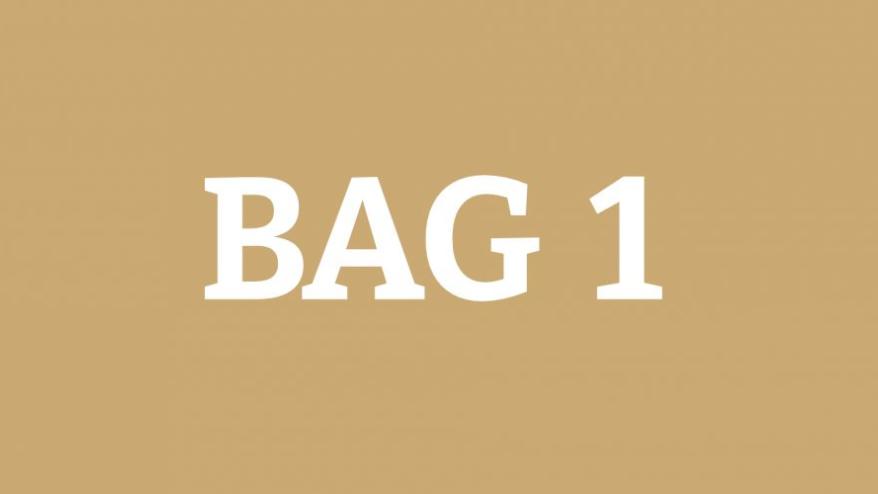 BAG 1
