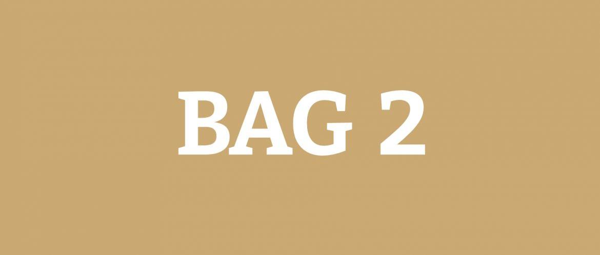 BAG 2