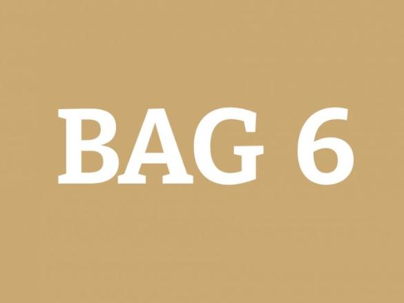 BAG 6